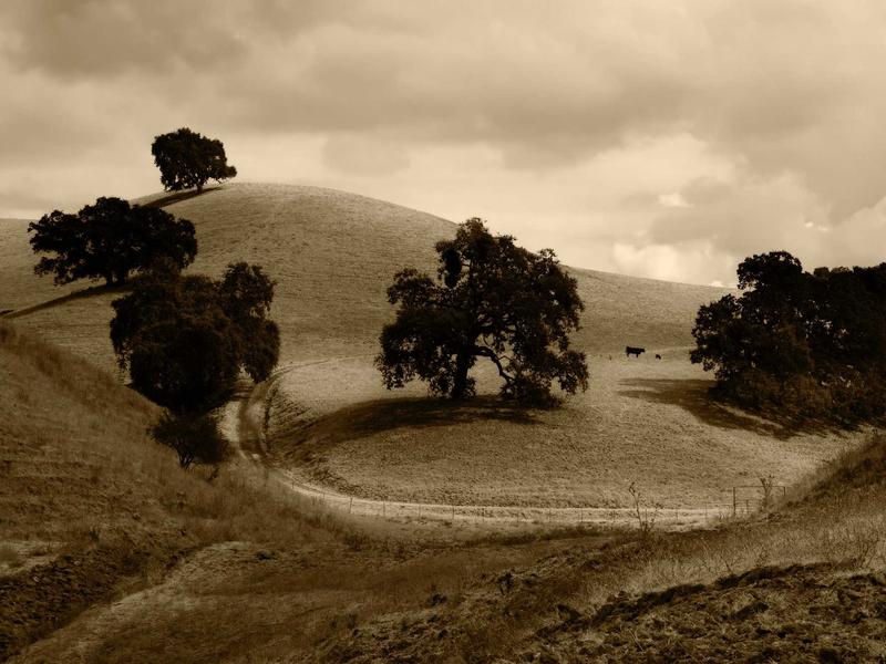 sudoku logic solving screenshot 3