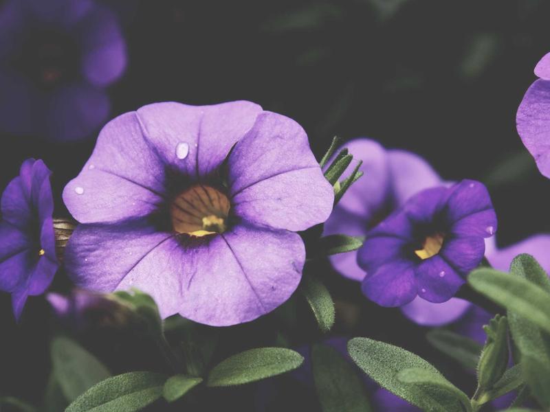 sudoku row column box screenshot 4